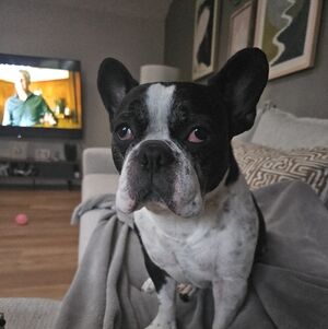 Meet your Posher, Precella